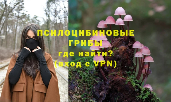 герыч Вязьма